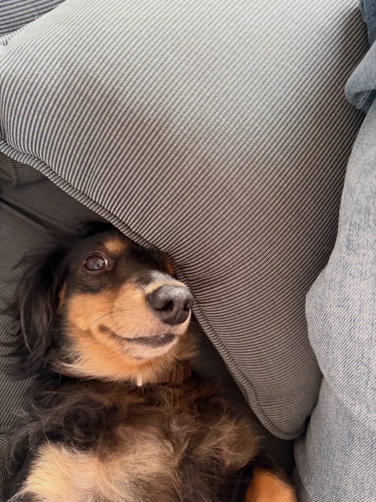 Afbeelding bij de Instagram-update van Elmary van 12 augustus 2026 (6 van 16)
