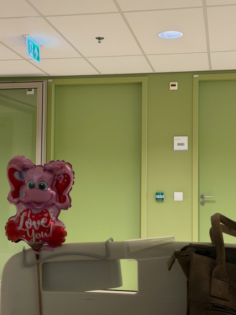 Afbeelding bij de Instagram-update van Elmary van 12 augustus 2026 (9 van 16)