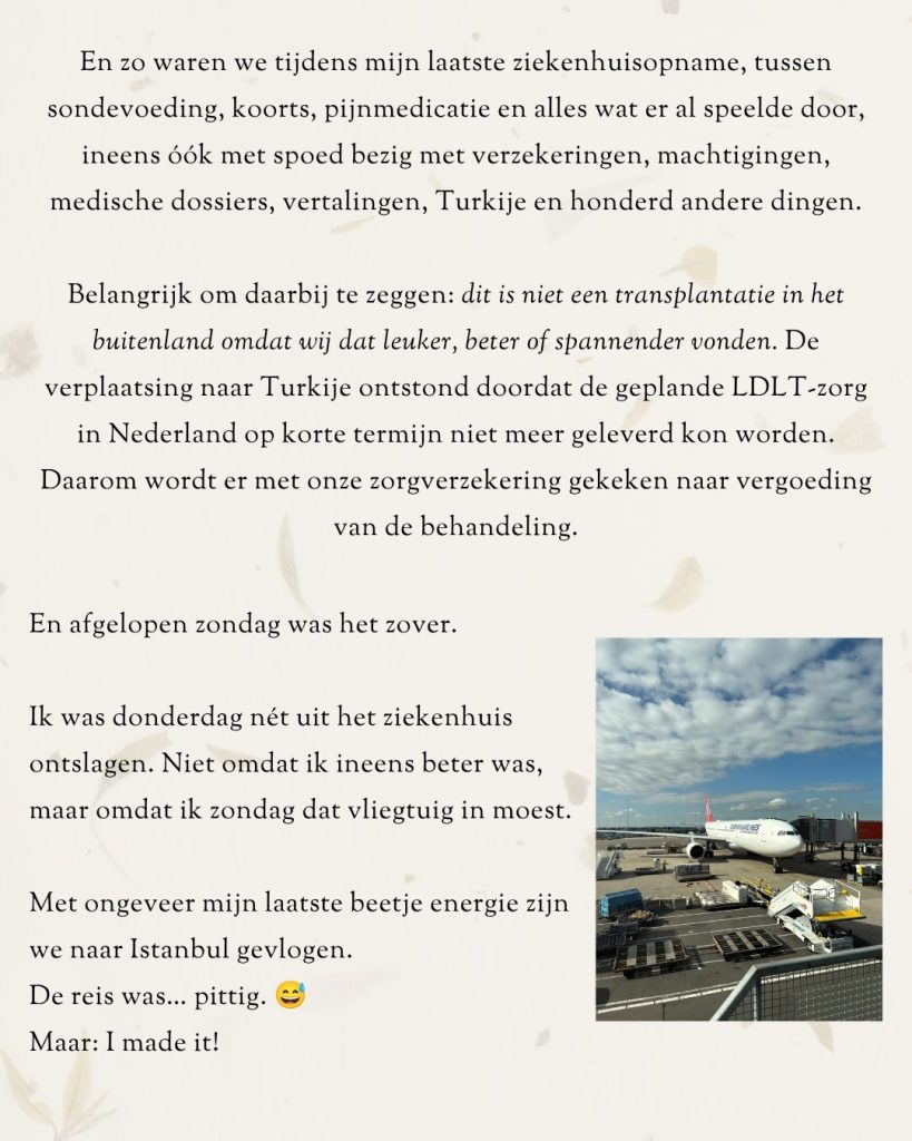 Afbeelding bij de Instagram-update van Elmary van 7 oktober 2026 (11 van 17)