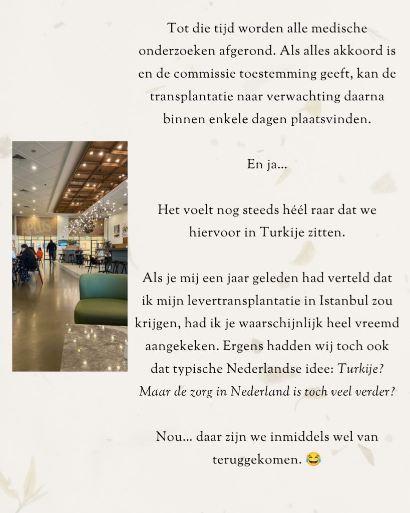 Afbeelding bij de Instagram-update van Elmary van 7 oktober 2026 (13 van 17)