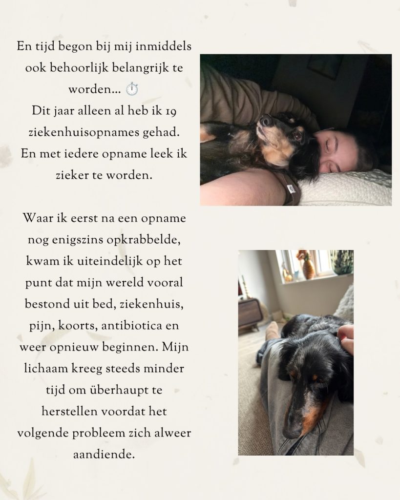 Afbeelding bij de Instagram-update van Elmary van 7 oktober 2026 (6 van 17)
