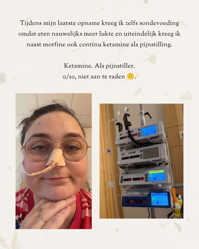 Afbeelding bij de Instagram-update van Elmary van 7 oktober 2026 (7 van 17)