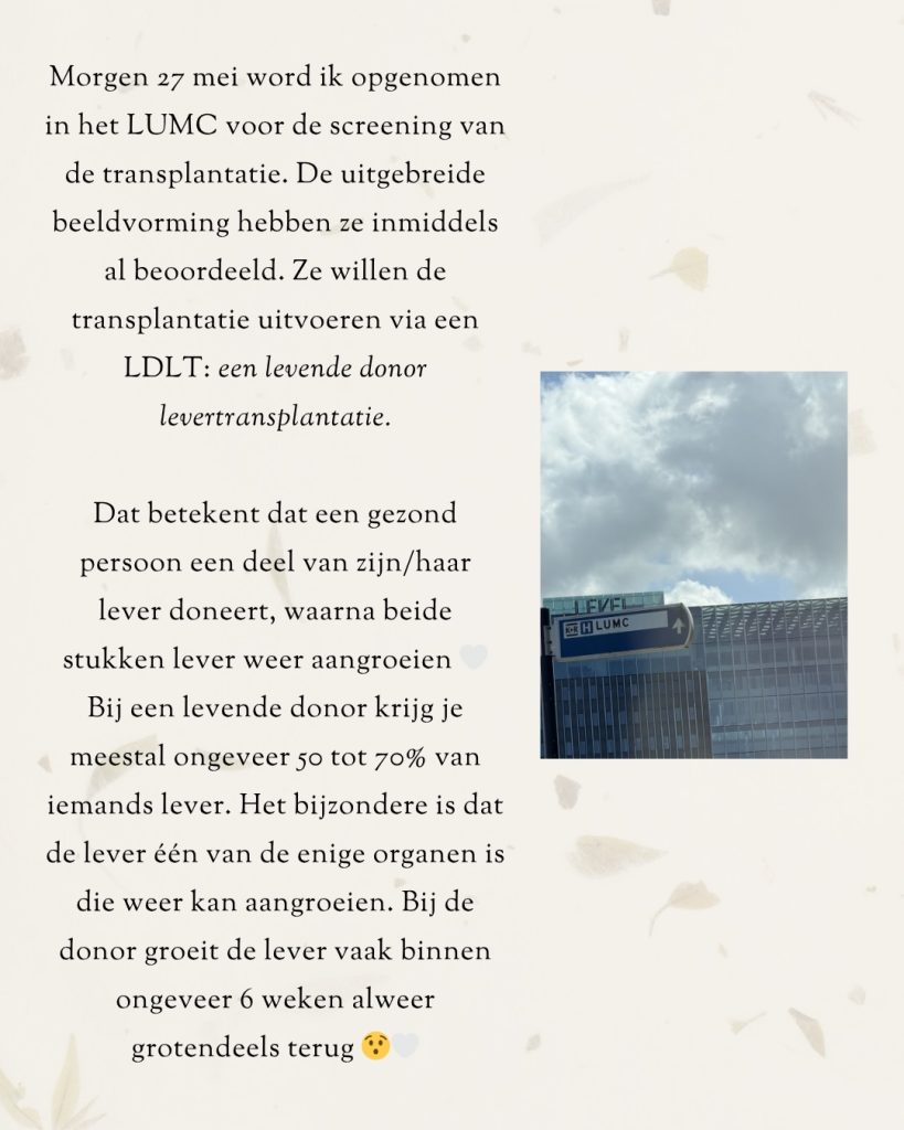 Afbeelding bij de Instagram-update van Elmary van 26 mei 2026 (6 van 11)