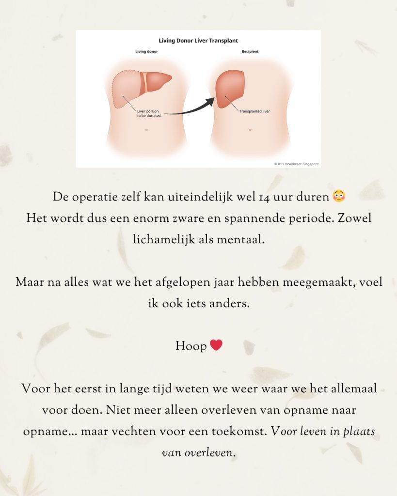 Afbeelding bij de Instagram-update van Elmary van 26 mei 2026 (8 van 11)