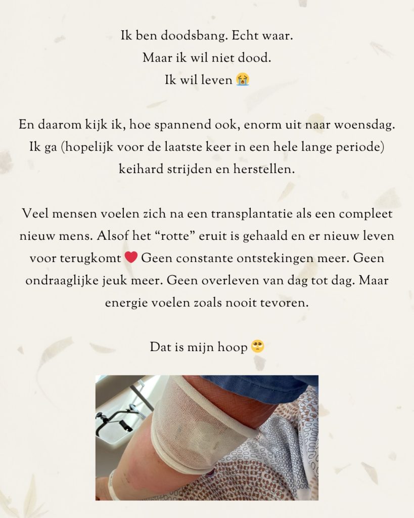 Afbeelding bij de Instagram-update van Elmary van 26 mei 2026 (9 van 11)