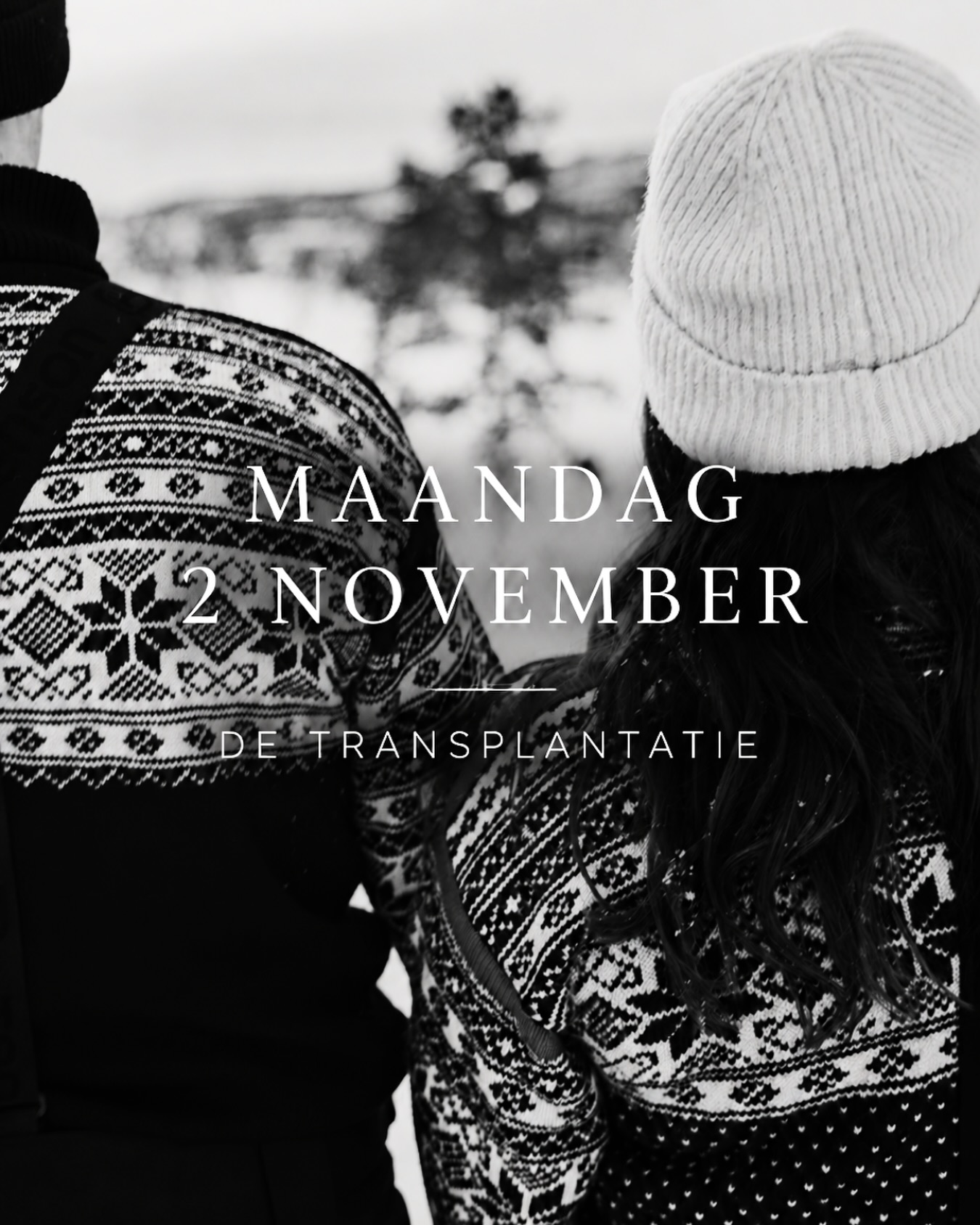 Maandag 2 november: de transplantatie
